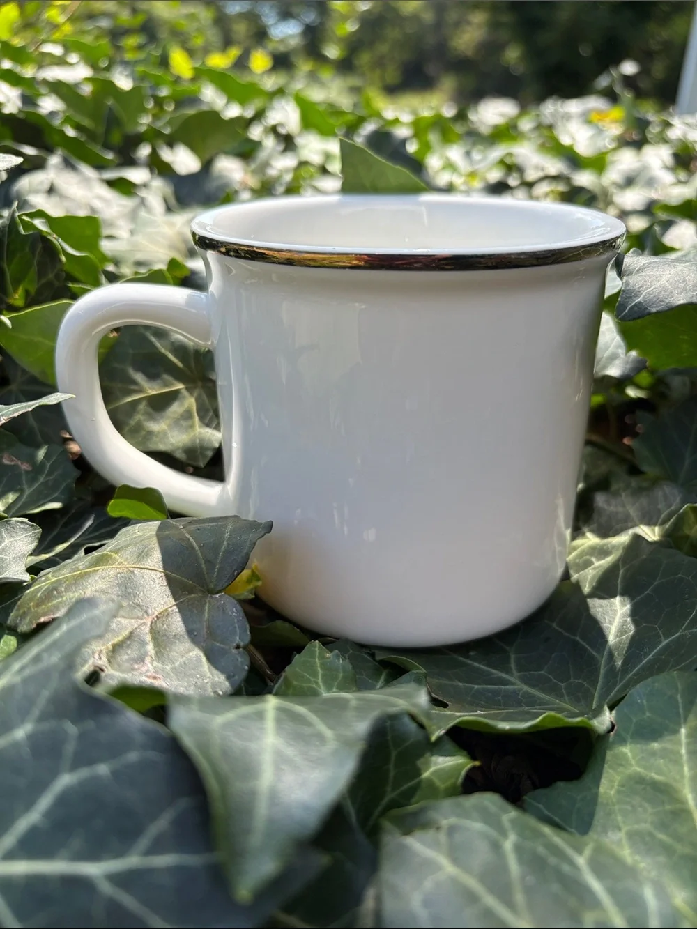 Pottery Barn White Mug with Red and Green Plaid H Letter